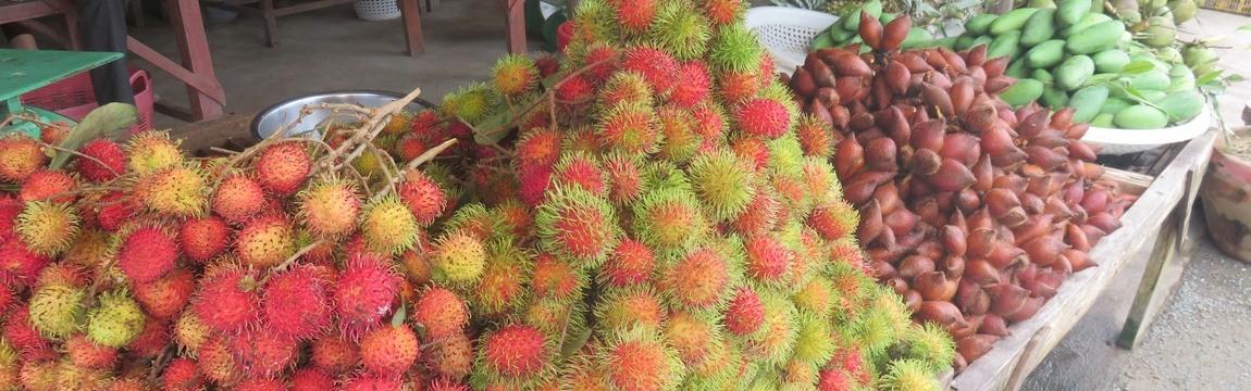 fruits exotiques, voyage classique asieland en thailande